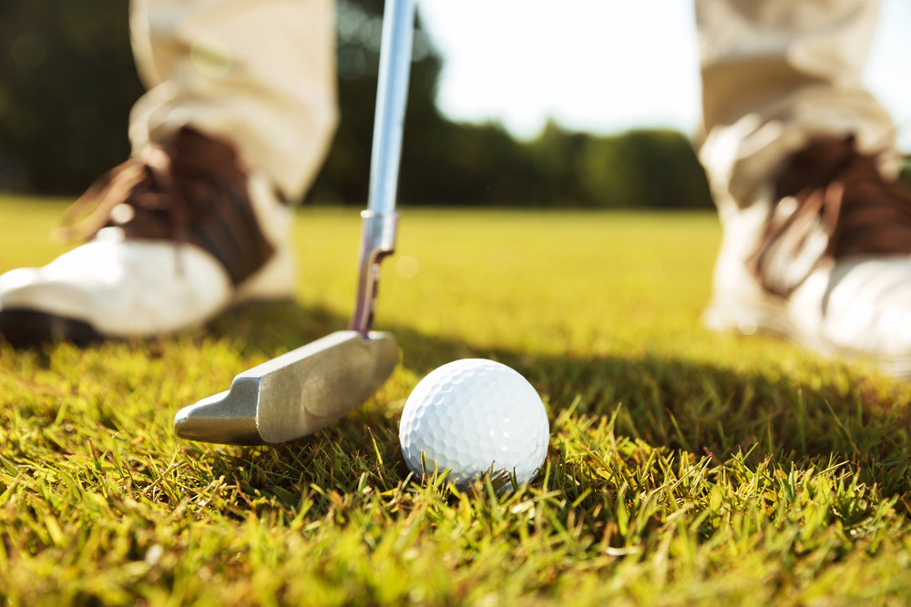 backyard golf greens